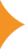Merkbeeld_groot oranje